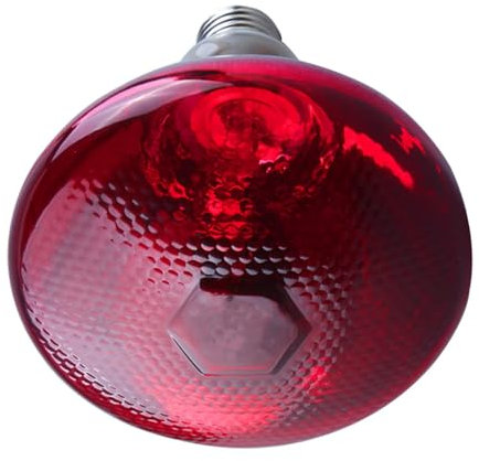 51buyoutgo 200W Thickened Infrared Heat Lamp Bulb for Puppies Reptiles Chicks Tortoise Poultry Dog, Puppy Reptile Heat Lamp, Chicken Basking Bulb Red