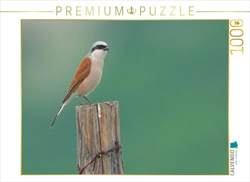 CALVENDO Puzzle Neuntöter | 1000 Teile Lege-Größe 64 x 48 cm Foto-Puzzle für glückliche Stunden