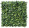 Jardin Vertical Hellene 100 X 100 CM NORTENE