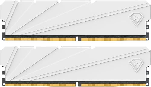 Netac DDR4 DRAM 32GB Kit16GBx2 C16 3200MHz XMP 2.0 Dual Channel RAM (PC4-25600) 1.35V 288-Pin Upgraded Aluminum Heat Sink Ideal for Gaming Computer Upgrade - Shadow S