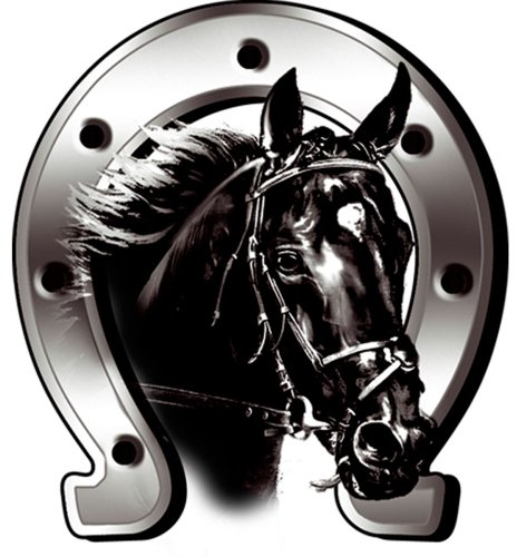 Avisa Aufkleber Horse + Horseshoe - 6x7cm, Silber