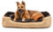 lionto Hundebett mit Wendekissen und Rutschfester Unterseite, Robustes Heimtierkissen mit tiefem Einstieg für Hunde und Katzen jeden Alters, 90x70 cm, kuscheliges Hundekissen, beige/braun