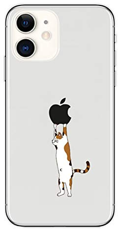 Rokmym iPhone 11 Hülle Crystal Clear Handyhülle für iPhone 11 Mode Chic Muster Ultra Dünn Silikon Stoßfest Kratzfest Schutzhülle für iPhone 11 Slim Case Cover