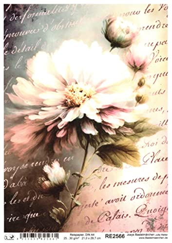 Josys Bastelmärchen Reispapier A4 Strohseide Decoupage Vintage Blumen Blumenmotiv Hintergrund RE2566