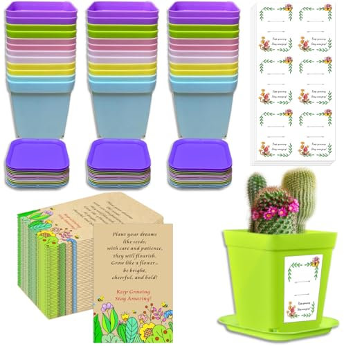 Gifts for Students from Teachers - 36 Pack Eco Plant Pots &Empty Seed Envelopes | End of Term Class Gifts for 30 Primary Pupils, Year 6 Leavers Gifts 2025,School Leavers Gifts, DIY Planting Kits