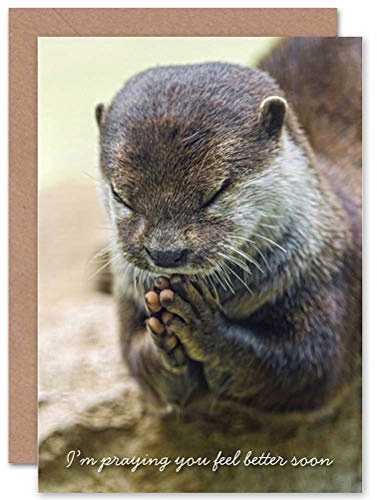 Wee Blue Coo CARD GET WELL SOON GOOD HEALTH PRAYING OTTER GIFT