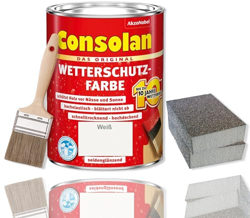 Consolan Wetterschutzfarbe Set 2,5 l Holzfarbe Dauerschutz Deckend mit Zubehör (Weiß)