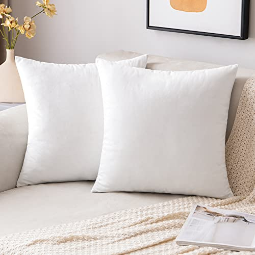 EMEMA Samt Kissenbezug Kissenhülle Dekorative Dekokissen Sofakissen Lendenkissen Wurfkissenbezug mit Verstecktem Reißverschluss Sofa Schlafzimmer 2er Set 40x40 cm Reines Weiß