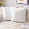 EMEMA Samt Kissenbezug Kissenhülle Dekorative Dekokissen Sofakissen Lendenkissen Wurfkissenbezug mit Verstecktem Reißverschluss Sofa Schlafzimmer 2er Set 40x40 cm Reines Weiß