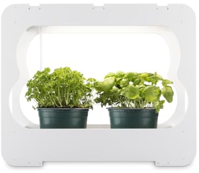 Xavax LED Smart Garden Home Gewächshaus Box klein mit Lampe für Balkon, als Anzuchtkasten für Hochbeet oder Outdoor Garten Pflanzen, Mini Gewächshaus mit Wachstumslampen für Pflanzen 3 Töpfe Ø 10 cm