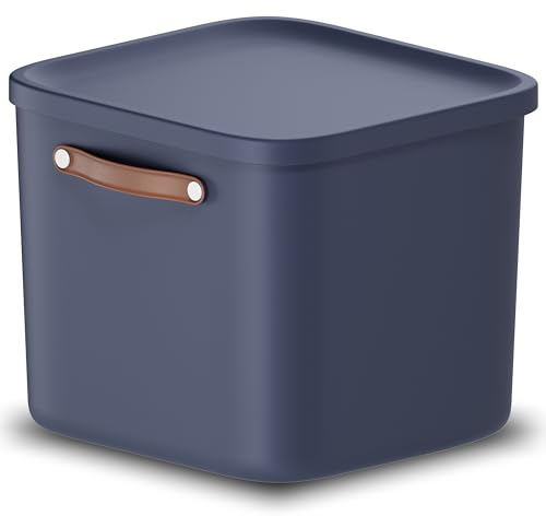 Rotho Maloja Aufbewahrungsbox 40 l, Kunststoff, blau, 40 (39.5 x 38.0 x 34.0 cm)