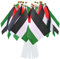 AhfuLife Petit Drapeau Palestine - 15Pcs Mini Drapeaux Palestinien avec Poteau Solide Blanc 30cm pour Jardin Bar Jour de Catastrophe, Jour de l'Indépendance, Procession, Célébration Fête Nationale