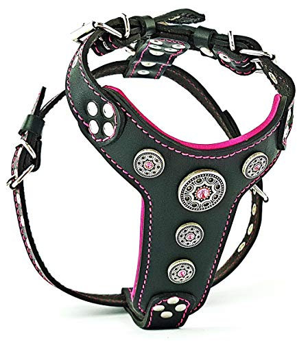 Bestia |Bijou| Leder Brustgeschirr für Kleine bis Mittelgroße Hunde. 100% Leder. Handgefertigt. Top Qualität