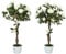 Outsunny Set of 2 90cm/3FT Artificial Rose Tree, Fake Decorative Plant with Pot, Indoor Faux Decoration Home Office Decor, White