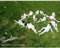 SEVENTEEN - [FIRST ¡®LOVE & LETTER¡¯] 1st Album LETTER ver. CD+148p Photo Book+Post Card Set(3p)+1p Photo Card+Sticker K-POP Sealed
