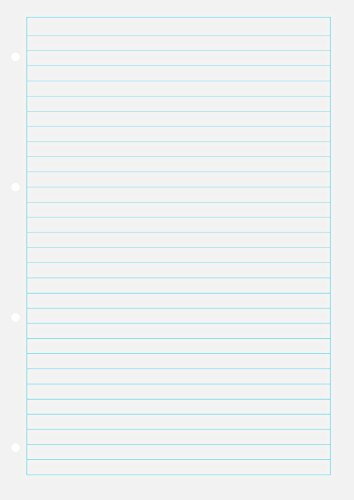 Baier & Schneider BRUNNEN Ringbucheinlage A4 lin mit RM 50Bl