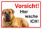 Melis-Folienwerkstatt Schild Warnschild Vorsicht freilaufender Hund – Dogge Achtung – Hier wache ich – 20x30cm – S21E
