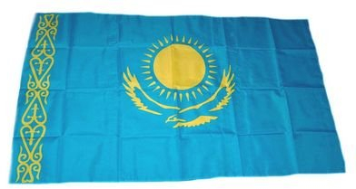 Fahne/Stockflagge Kasachstan 30 x 45 cm Flagge