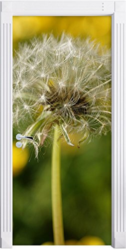 Stil.Zeit Möbel Pusteblume vor Wildwiese als Türtapete, Format: 200x90cm, Türbild, Türaufkleber, Tür Deko, Türsticker