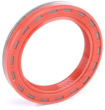 Reinz 81-24909-10 Wellendichtring, Nockenwelle
