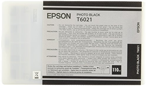 Epson T6021 Tintenpatrone, Singlepack, Foto schwarz