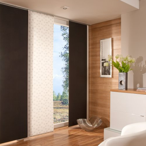 Flächenvorhang, Schiebevorhang weiß, transparent | Dekor Ausbrenner | B 60 x H 245 cm