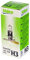 Valeo032005 Glühlampe, Nebelscheinwerfer