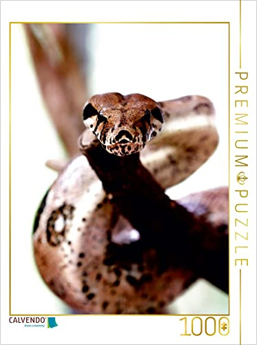 CALVENDO Puzzle Boa Constrictor 1000 Teile Puzzle hoch | 1000 Teile Lege-Größe 48 x 64 cm Foto-Puzzle für glückliche Stunden