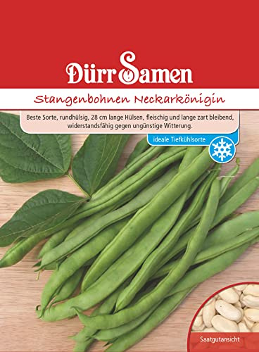 Dürr-Samen - Stangenbohnen Neckarkönigin Saatgut