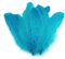20 Enten-Federn 15-21cm Bastelfedern Federn f. Basteln Dekoration Hüte Kostüme, Farbe:türkis