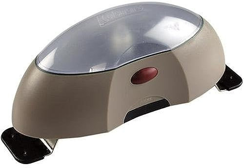 Coleman Zelt von Coleman, magnetisch