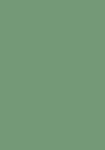 Baier & Schneider Heyda 20-3160057 Plakatkarton 50 x 70 cm laubgrün
