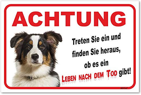 AdriLeo Schild - Vorsicht Australian Shepherd Tri-Color - Leben nach dem Tod - (20x30cm) / Aussie Achtung Hund Wachhund robust langlebig UV-beständig wetterfestes Warnschild