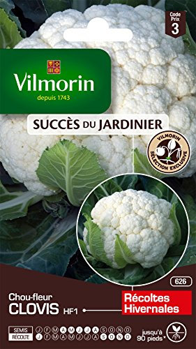 Vilmorin 3353543 Pack de Graines Chou-Fleur Clovis HF1 Création