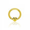 eeddoo Piercing-Ring BCR Klemmring Gold Edelstahl Stärke: 2 mm Durchmesser: 16 mm 6 mm