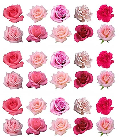 Pack of 30 Mixed Pink Roses Edible Cake Decoration Toppers - Printed on Wafer Paper or Icing (Icing Paper)