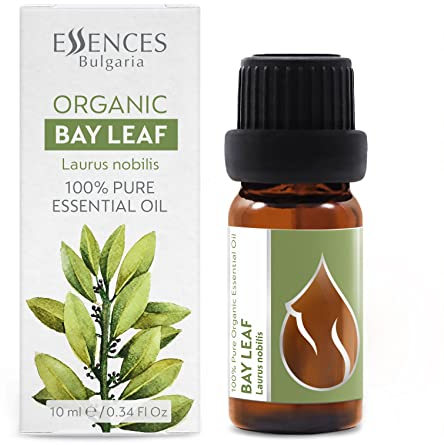 Essences Bulgaria BIO Echter Lorbeer Ätherisches Öl 10ml | Laurus nobilis | 100% Naturrein | Unverdünnt | BIO-zertifiziert | Spitzenqualität aus Familienbetrieb | Ohne Gentechnik | Vegan