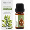 Essences Bulgaria BIO Echter Lorbeer Ätherisches Öl 10ml | Laurus nobilis | 100% Naturrein | Unverdünnt | BIO-zertifiziert | Spitzenqualität aus Familienbetrieb | Ohne Gentechnik | Vegan