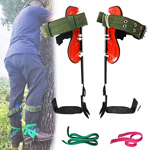 Lxwyq Baumkletterspikes-Set, verstellbares 2-Gang-Kletterset, verbreiterte Riemen mit rutschfestem Pedalstahlschmiede-Baumkletterwerkzeug zum Klettern von Bäumen, Überleben im Dschungel im Freien