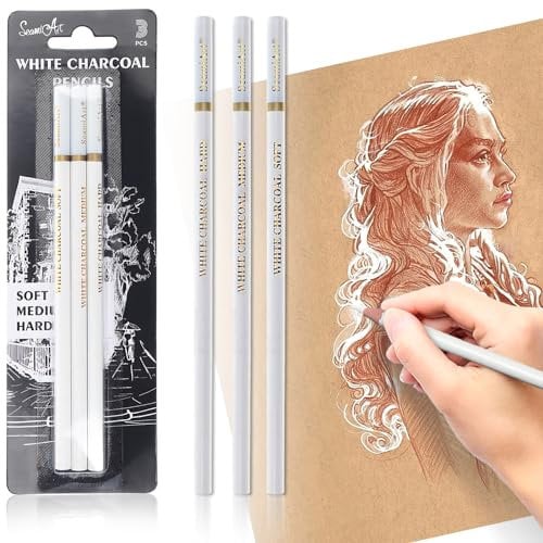 White Charcoal Pencils Drawing, Highlight Sketch White Pencil charcoal for Artists, White Drawing Pencils for Artists Beginner Student Designer, Soft/Medium/Hard White Charcoal Sketch Pencils (3 pcs)
