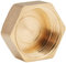 WOLFPACK LINEA PROFESIONAL - Tapon Ciego Hembra Laton 3/4
