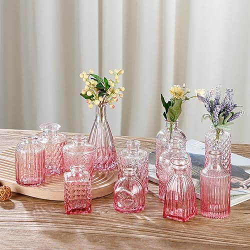 RXMORI Lot de 12 Vases à Bourgeons en Verre, Petits Vases pour Fleurs, Vases à Bourgeons pour Centres de Table, Mini Vases à Fleurs en Vrac pour Décorations de Mariage Rustiques, Look(Rose)
