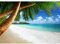 Runa Art Papel tapiz fotográfico 396 x 280 cm Playa y mar palma | Lana Decoración De Pared Sala Cuarto | Fabricación alemana | Verde azul 9004012b