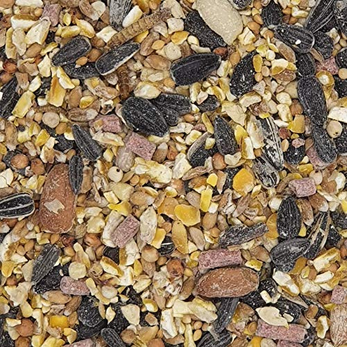 Mühle Gladen Wildvogelfutter mit Insekten 2,5kg