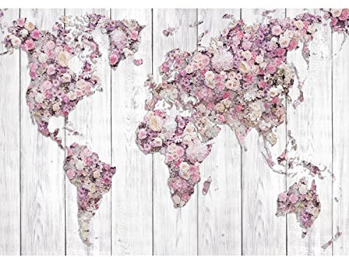 Runa Art Papier peint intissé Mural Carte du monde des fleurs Moderne Toison Salon Chambre à Coucherr Salle - Tableaux Muraux Tapisserie Photo - Rose et blanc 9452010b