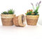 Norbe| Set di 3 Cesto per Fioriera in Rattan Naturale Seagrass, Vasi rotondi in Seagrass Intrecciata per piante e fiori |Vaso da Fiori | Cestini Piante Interno ed Esterno | Colore Naturale