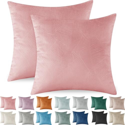 Ystyle Federe Cuscini Divano 50x50 2 Pezzi, Copricuscini Divano in Velluto, Copricuscino Divano Lavabili e Resistenti Anallergico Antiacaro e Traspirante con Cerniera Nascosta, Rosa