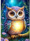 CEOVR Diamond Painting Kit Erwachsene Eule Diamond-painting,30x40 cm Diamant Paintings Kit,Tiere in der Nacht Diamond Painting Bilder Set,5D DIY Diamond Painting Bilder Kit
