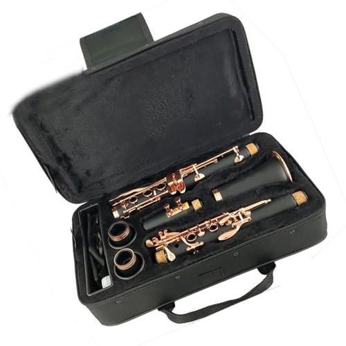 Professionelle Klarinette Bb Klarinette versilbertes Ebenholz M9