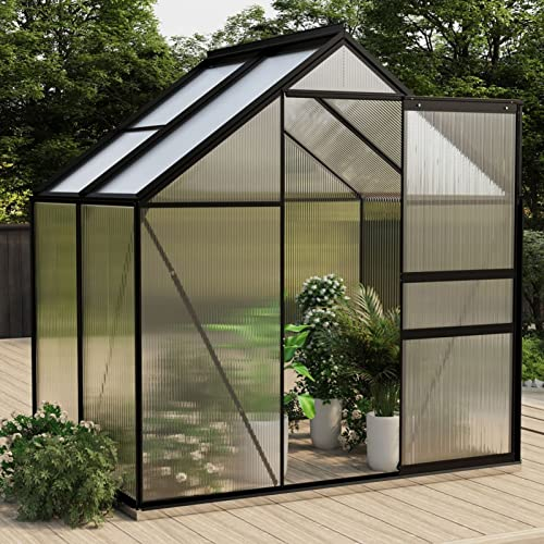 Kavolet Serra in alluminio, resistente all'inverno, per pomodori e piante, resistente alle intemperie e stabile, 2,47 m², in alluminio antracite
